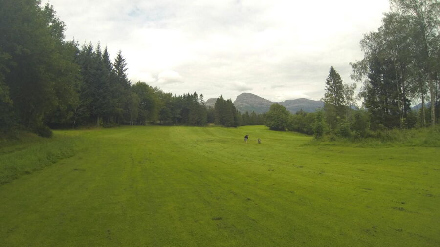 Floro GC: #5
