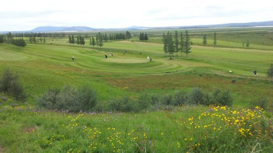 Dalbui GC