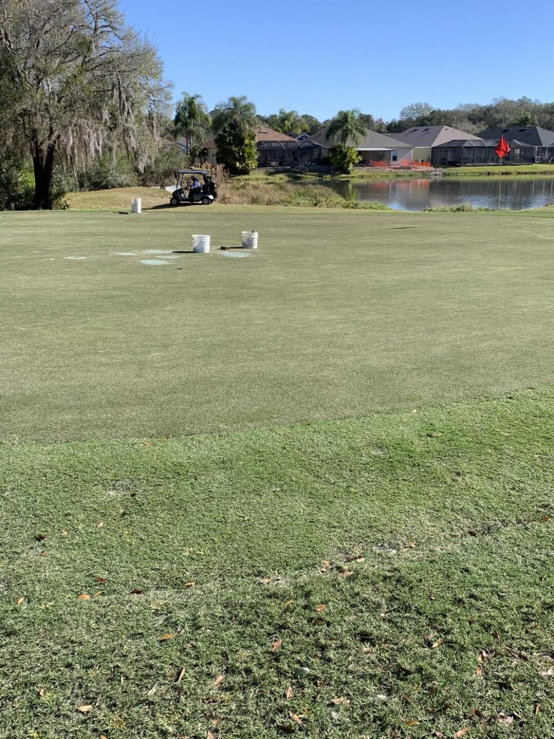 Buckets on the green (Photo submitted by Hammer26 on 02/03/2021)
