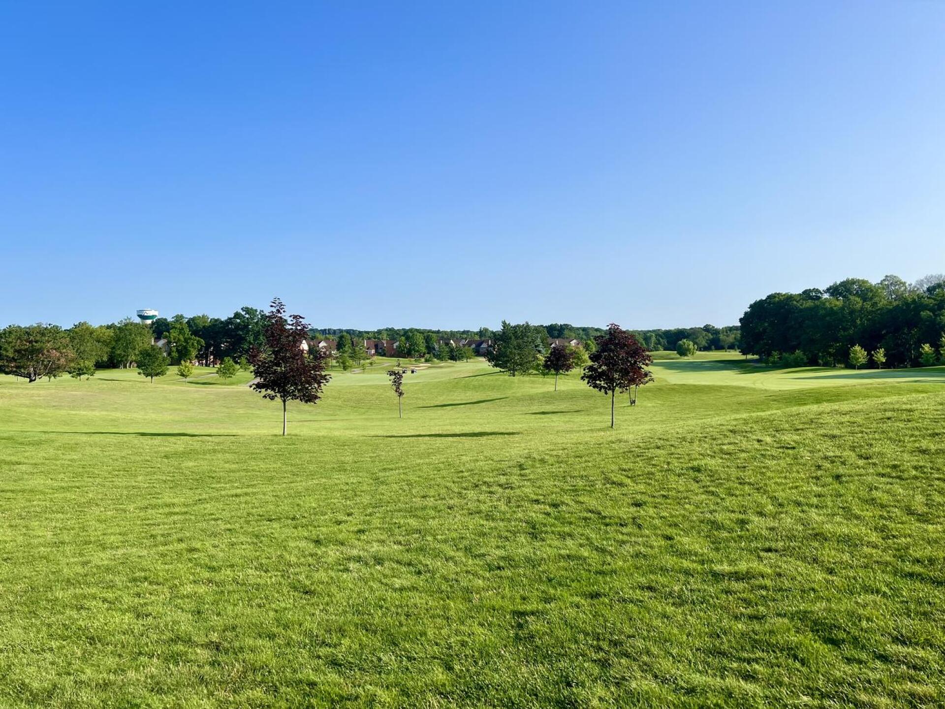 (Photo submitted by u314163204131 on 07/24/2023)