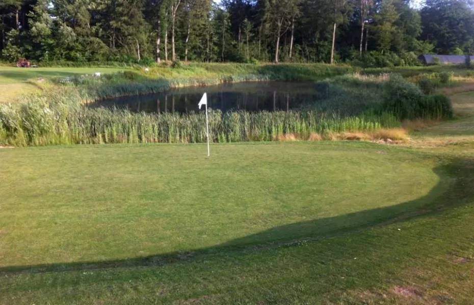 Braendeskovgard Golf: #2