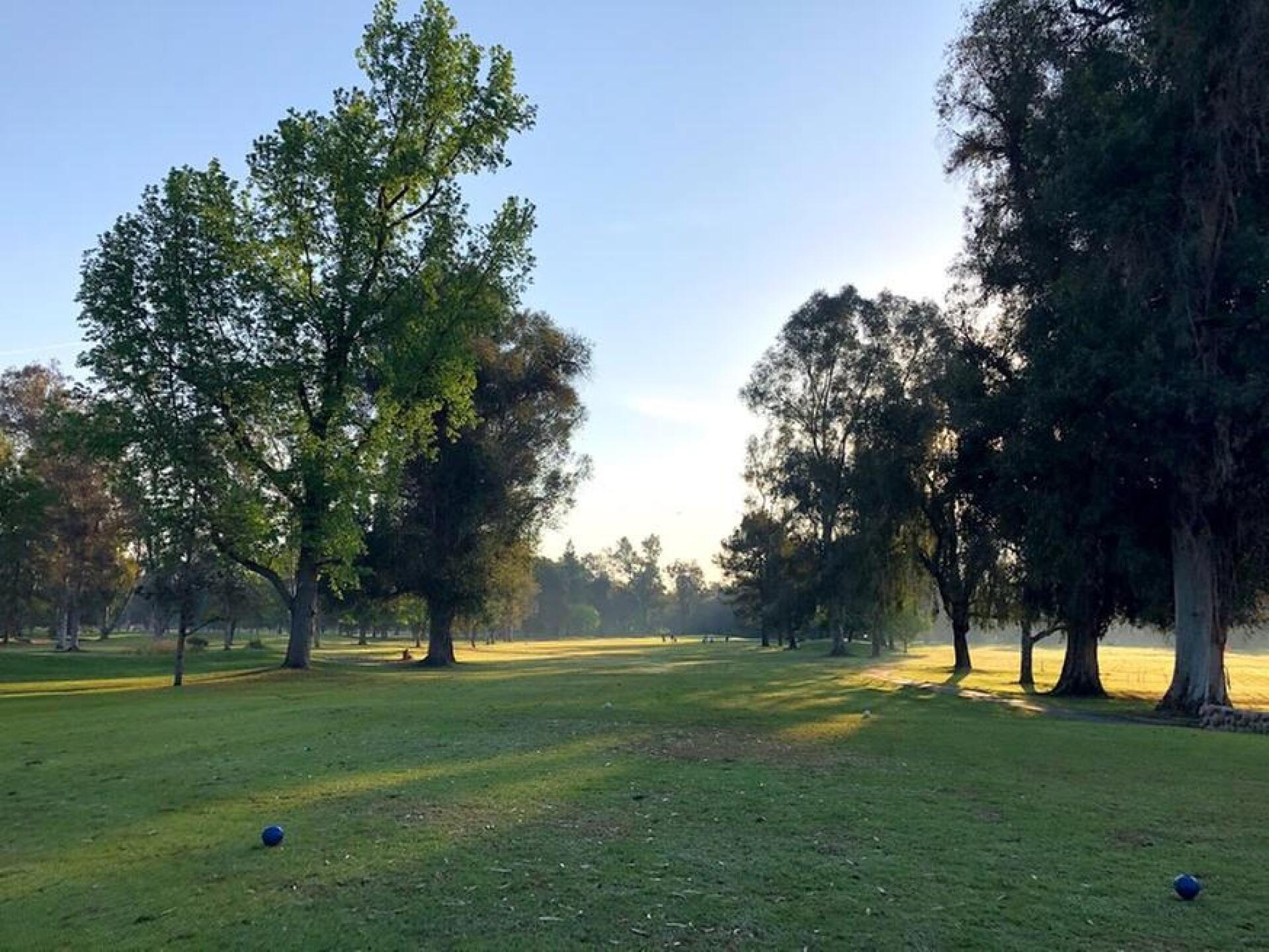 Opening tee shot (Photo submitted by Gremlingolfer on 04/24/2020)