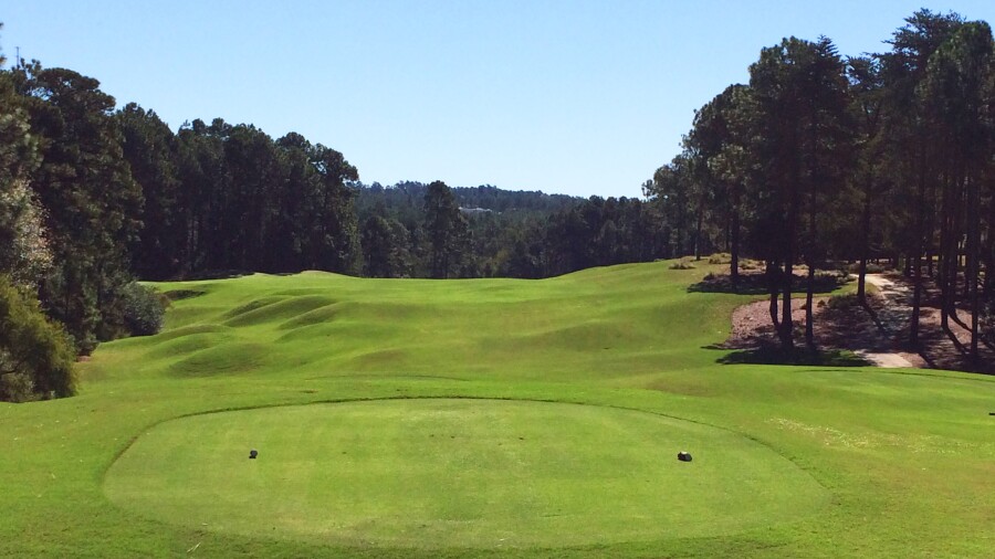 Mid South Club - no. 15