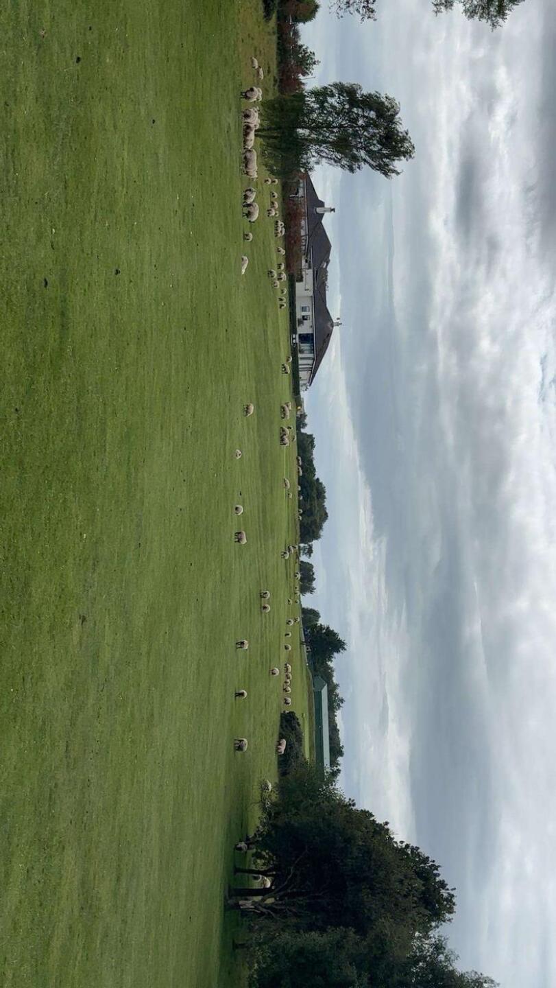 18th hole (Photo submitted by Cathal123 on 06/23/2025)