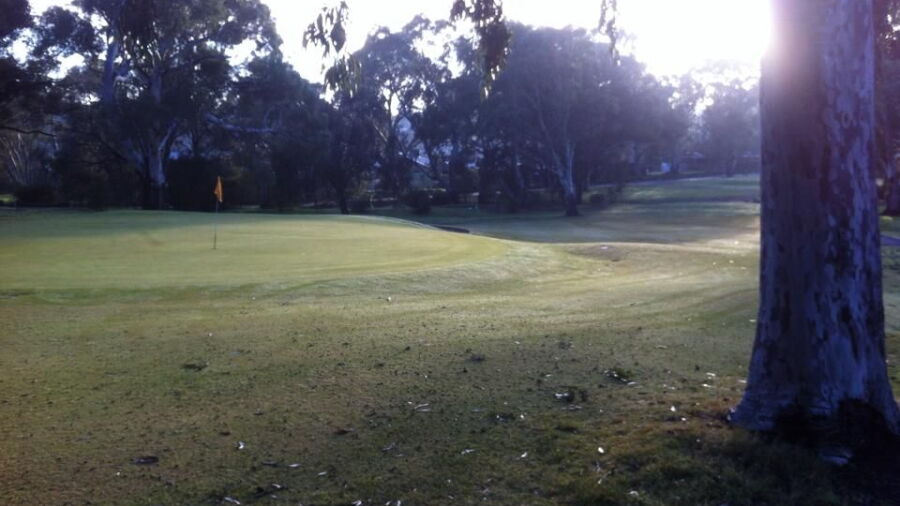 The Vines of Reynella