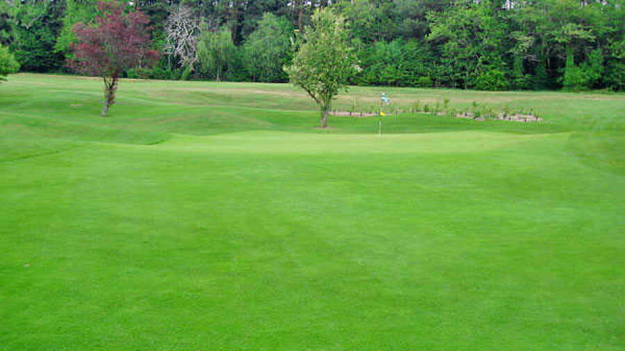 Delgany GC: #10