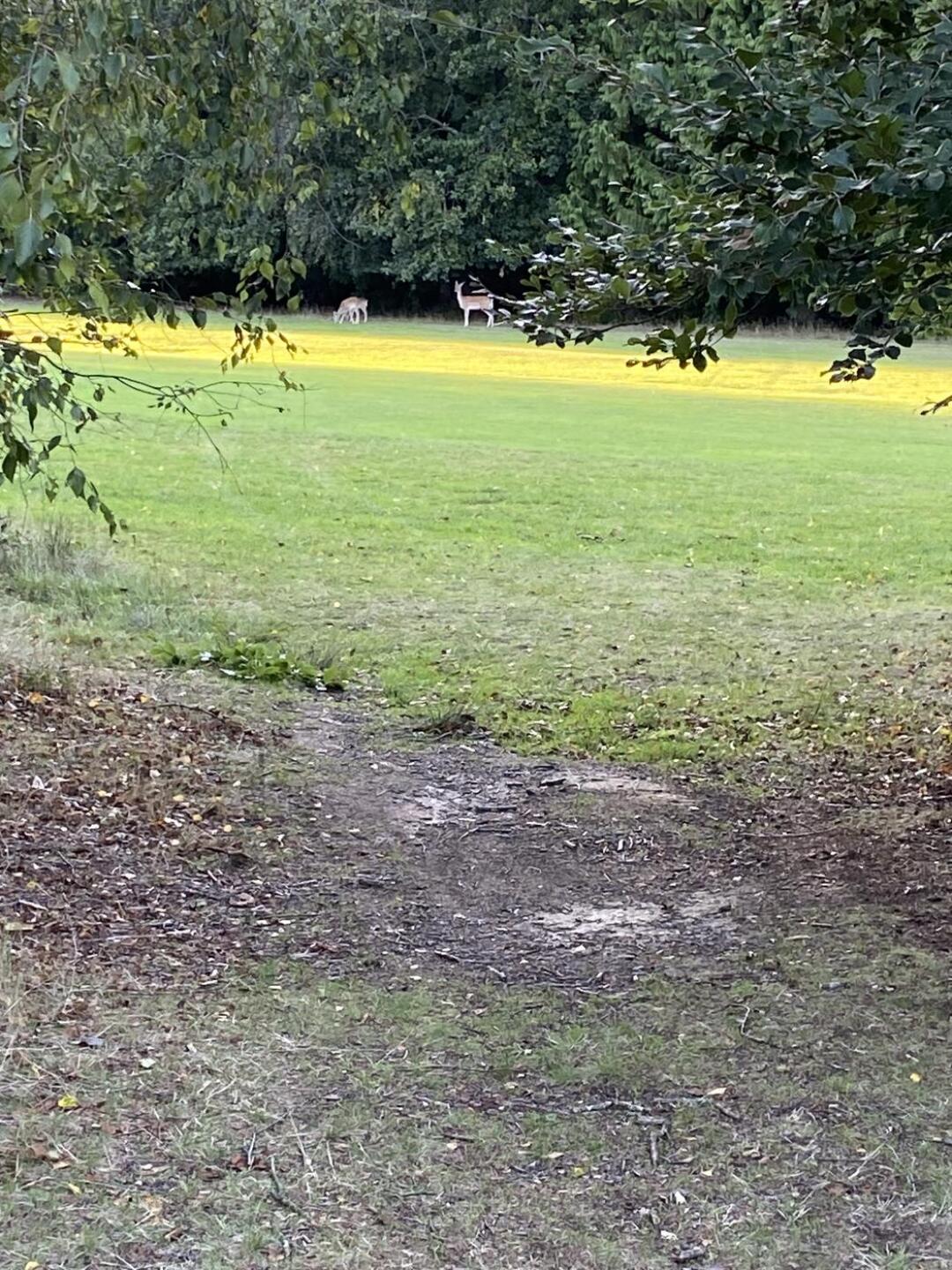 (Photo submitted by ZxgDOMtrprmtBbAJ1ywW on 09/07/2025)