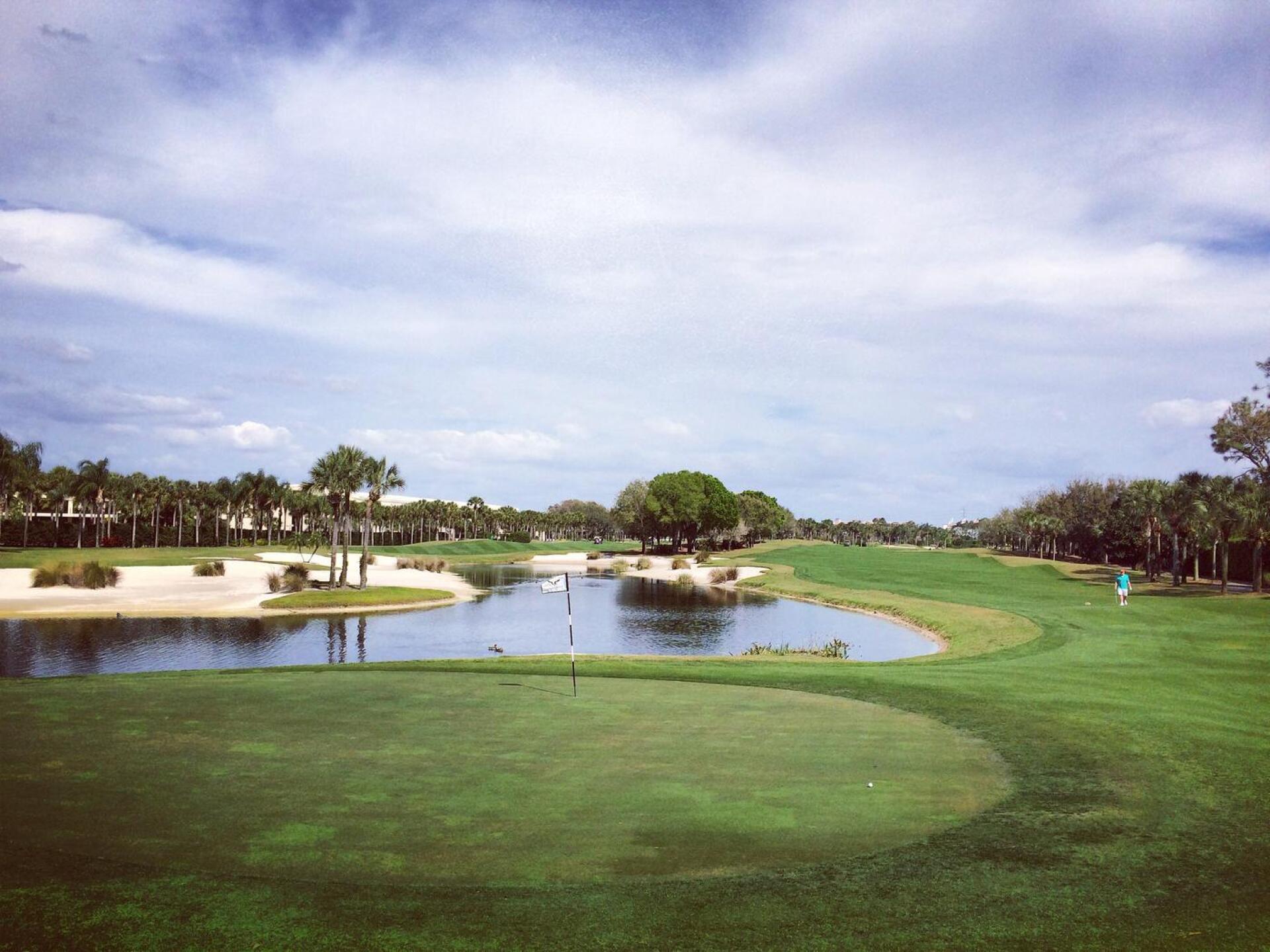 (Photo submitted by BrandonTuckerGA on 03/11/2016)