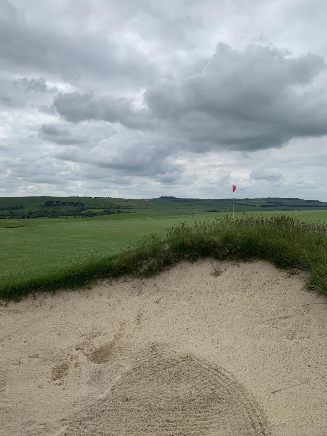 (Photo submitted by u314164103406 on 05/29/2024)