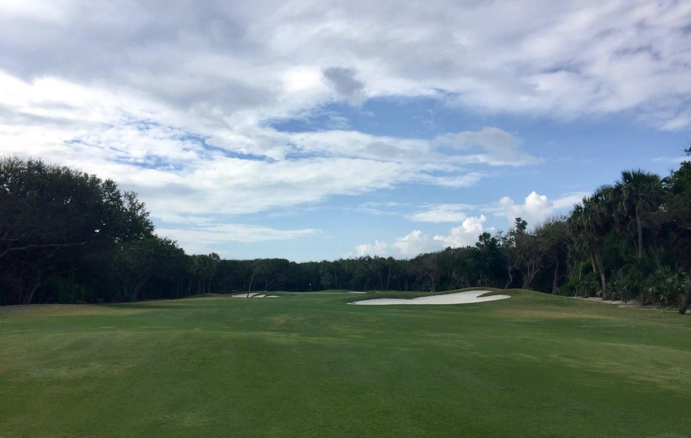 Windsor's third hole begins a five-hole stretch in a forested portion of the property. (Photo submitted by TimGavrichGP on 11/08/2017)