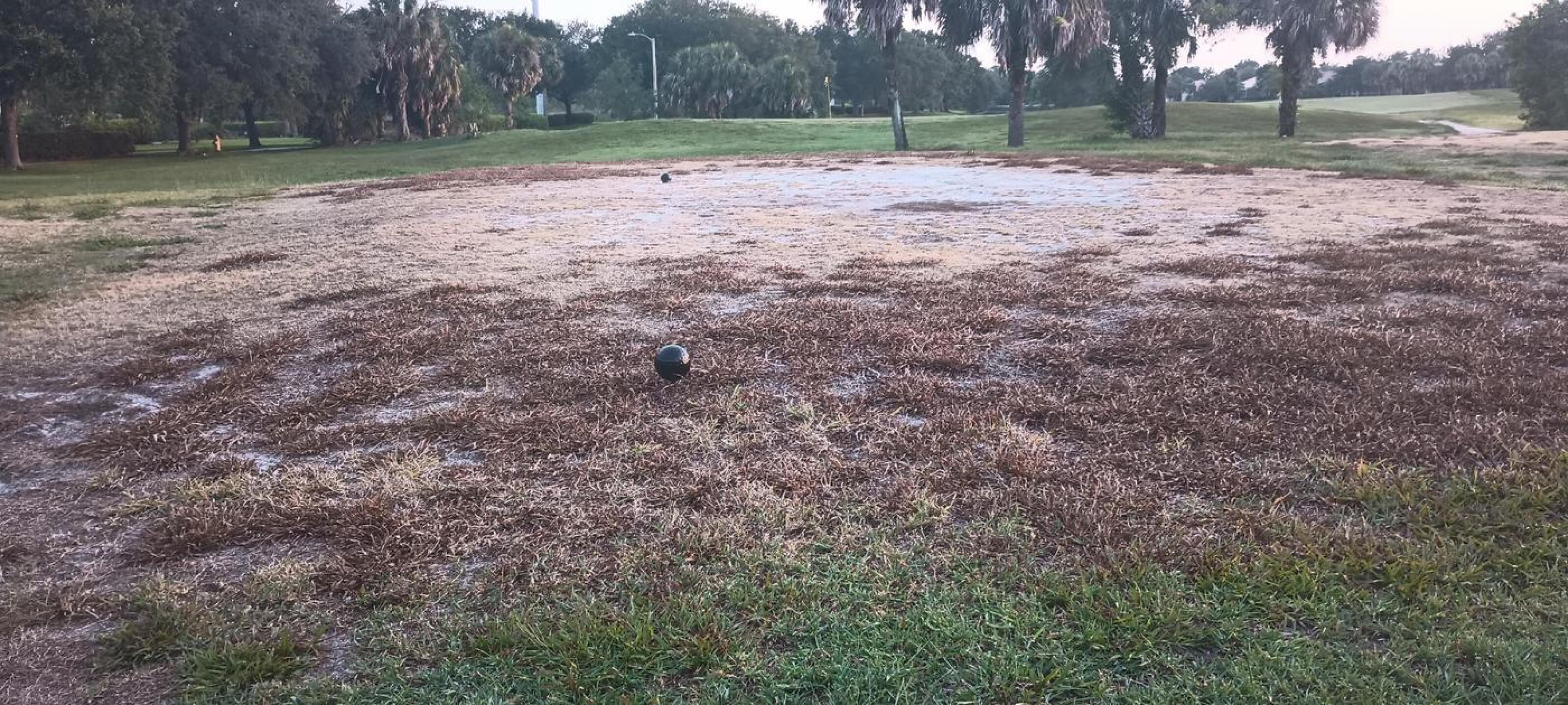 Tee Box (Photo submitted by u3507827 on 06/09/2023)