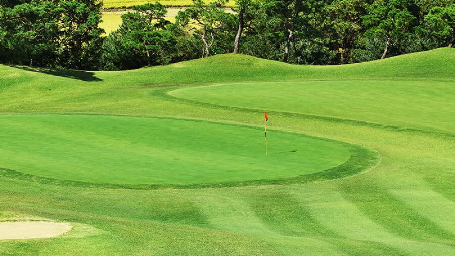 Plaza CC - Lion: #1