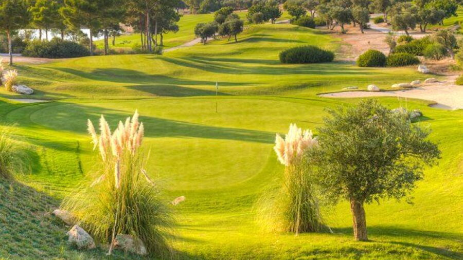 Korineum GCC