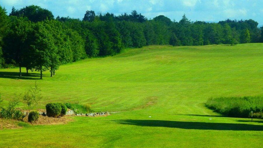 Ballyneety GC: #1