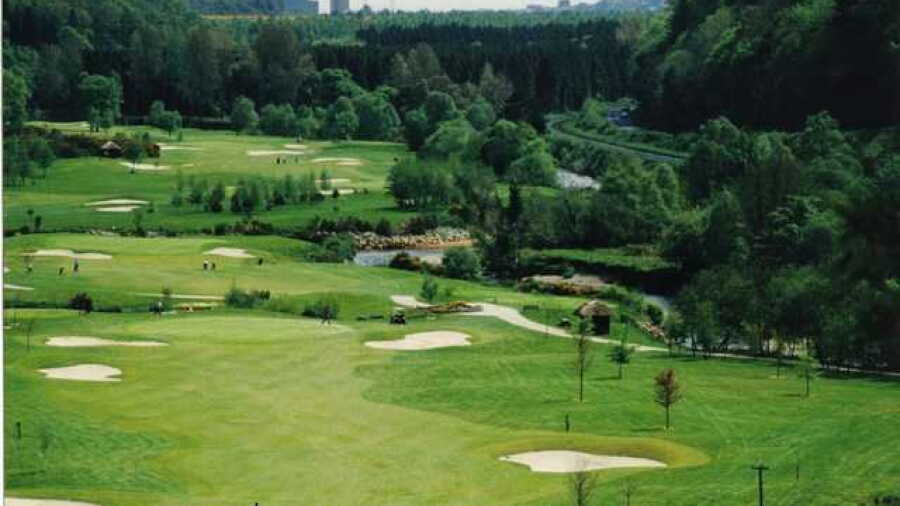 Woodenbridge GC: 10th Fairway