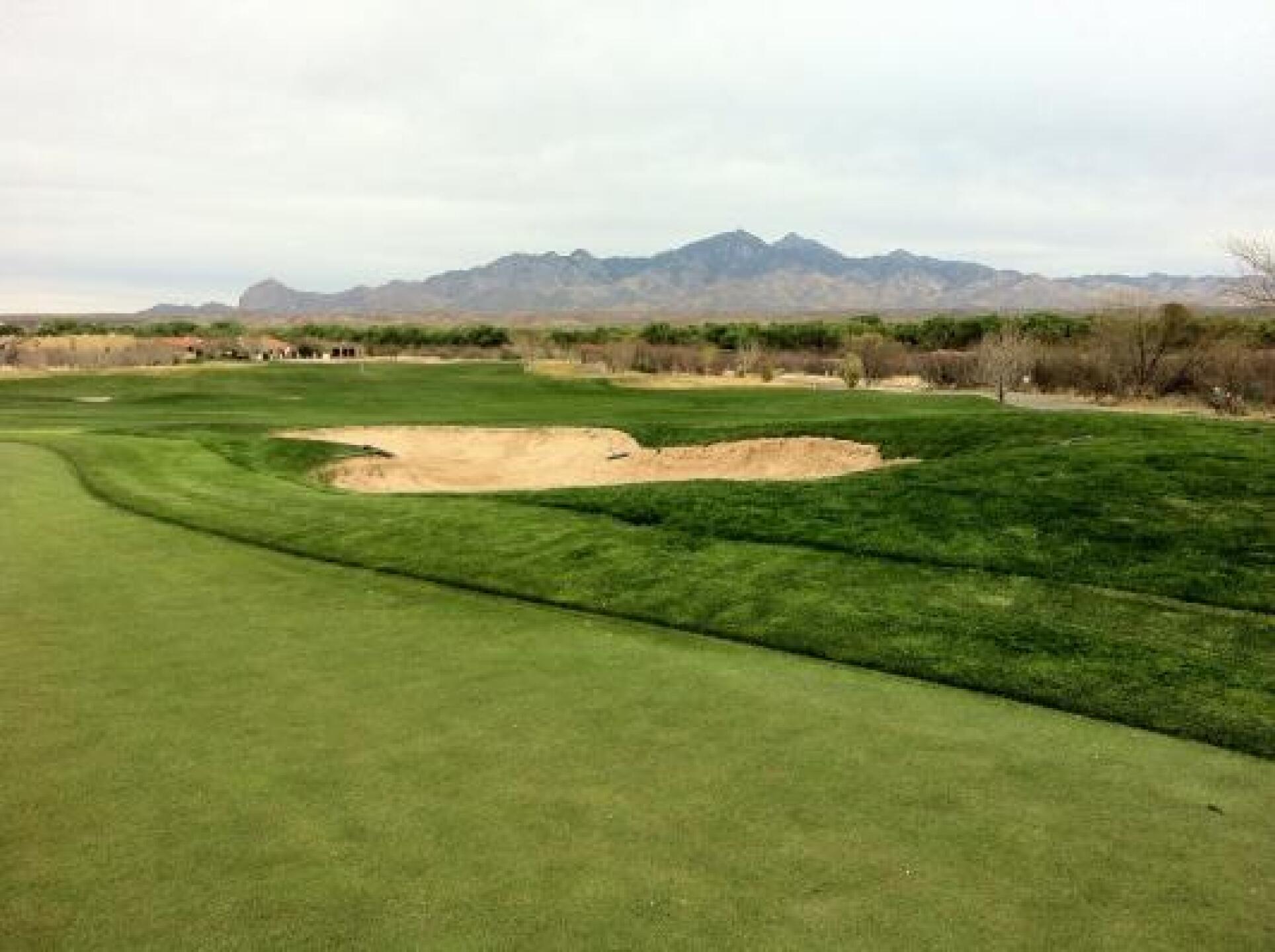 (Photo submitted by u000002399087 on 03/24/2013)