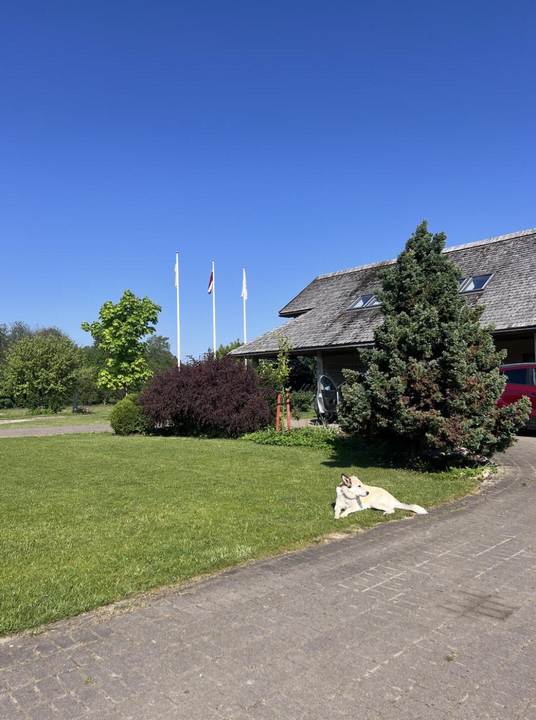 (Photo submitted by riejugGnEo3eRuMPVaXc on 11/09/2024)