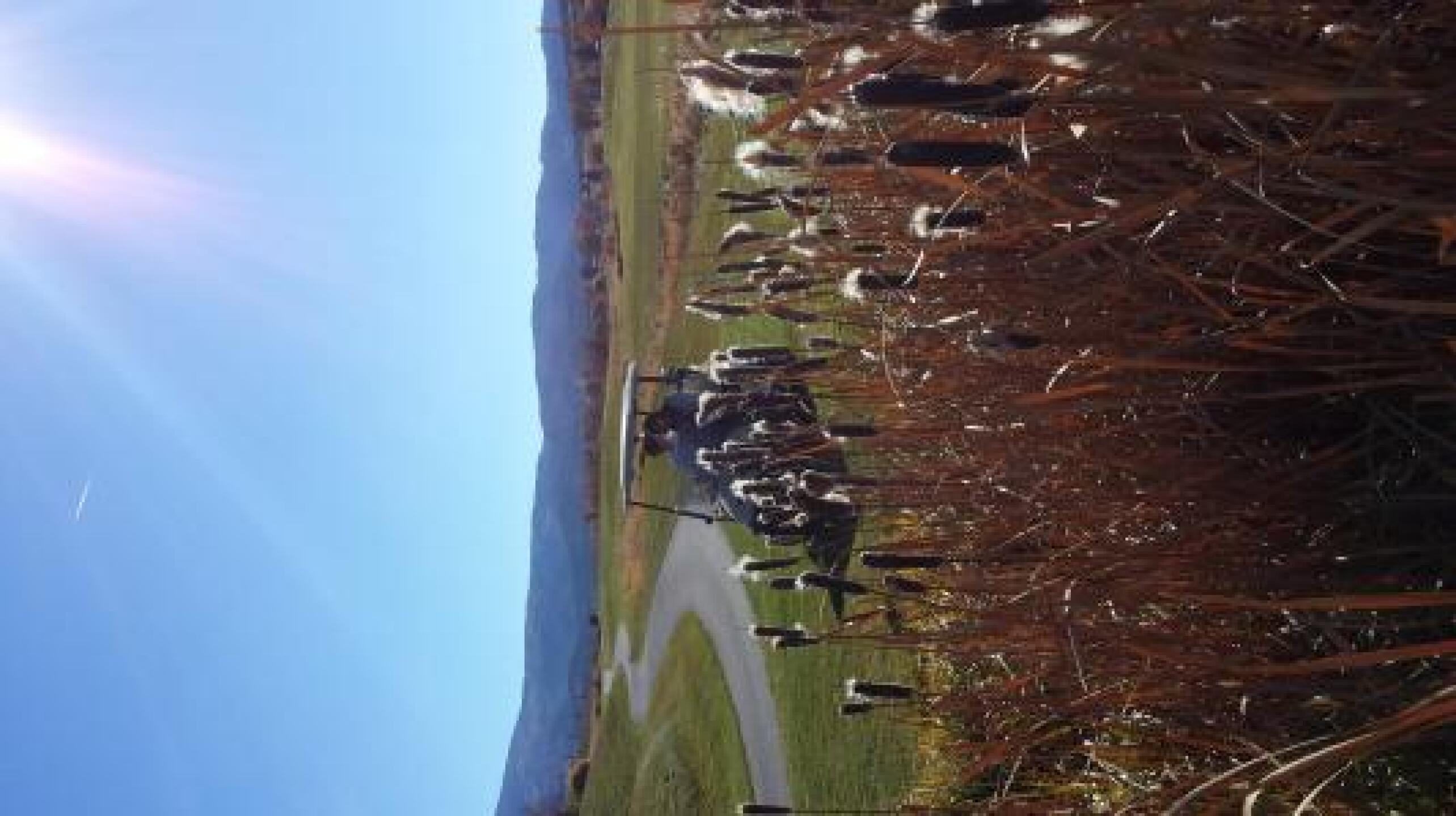 (Photo submitted by u000007671559 on 10/24/2013)