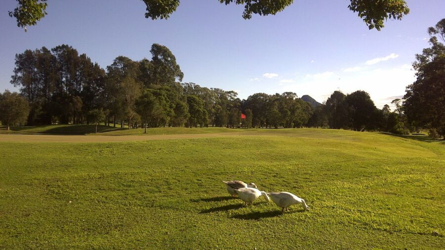 Mullumbimby GC