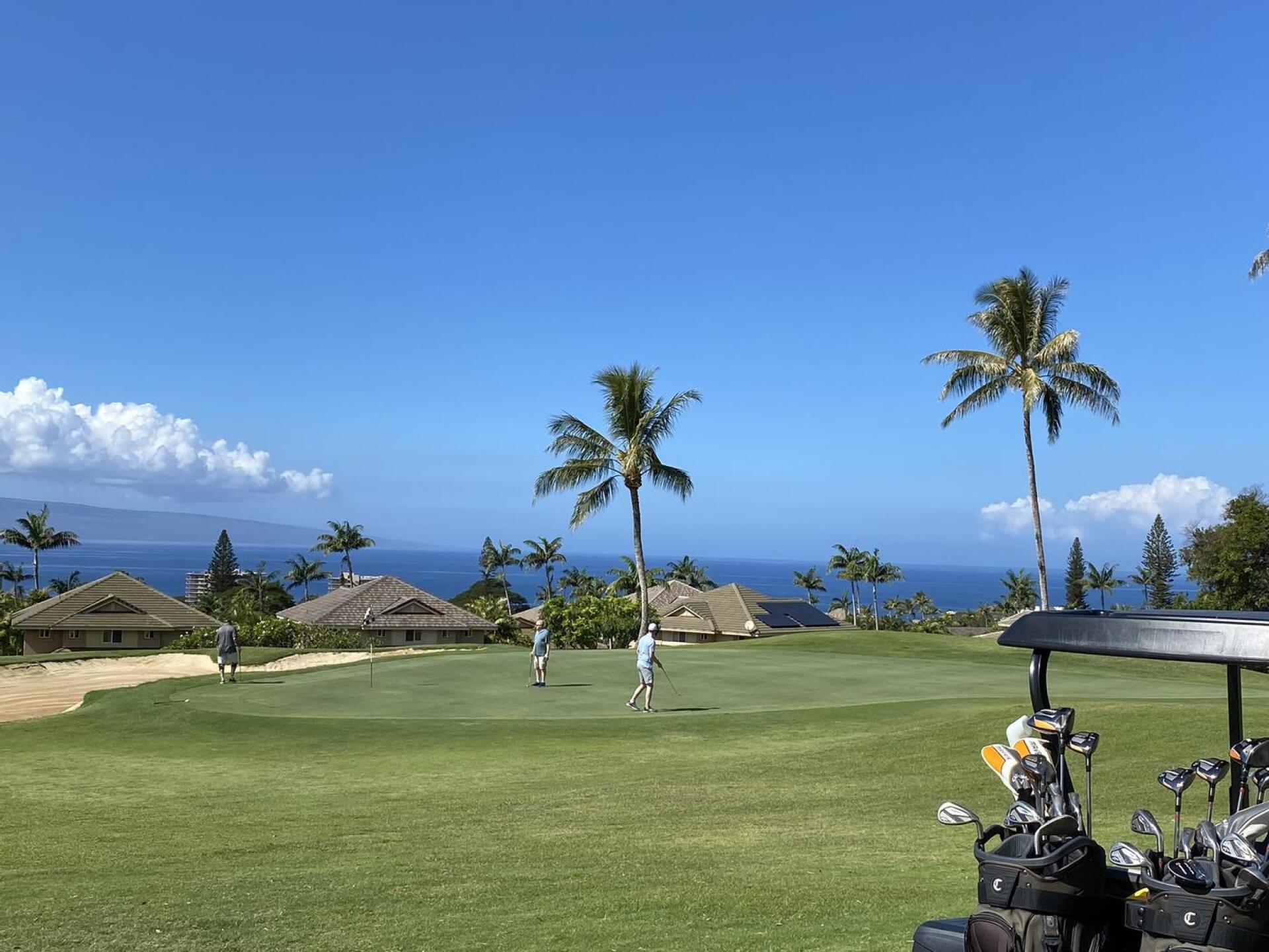 (Photo submitted by GolferGalWI on 01/31/2023)