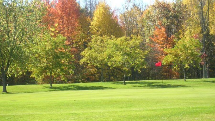 Wicker Hills GC: #11