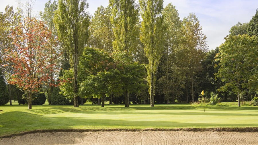 Bunkers at Bulbury Woods