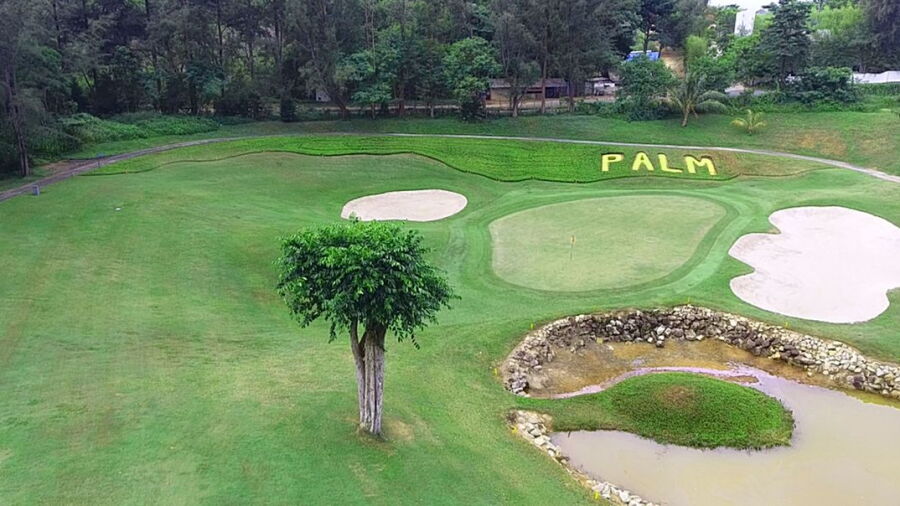 Palm Springs GCC - Palm