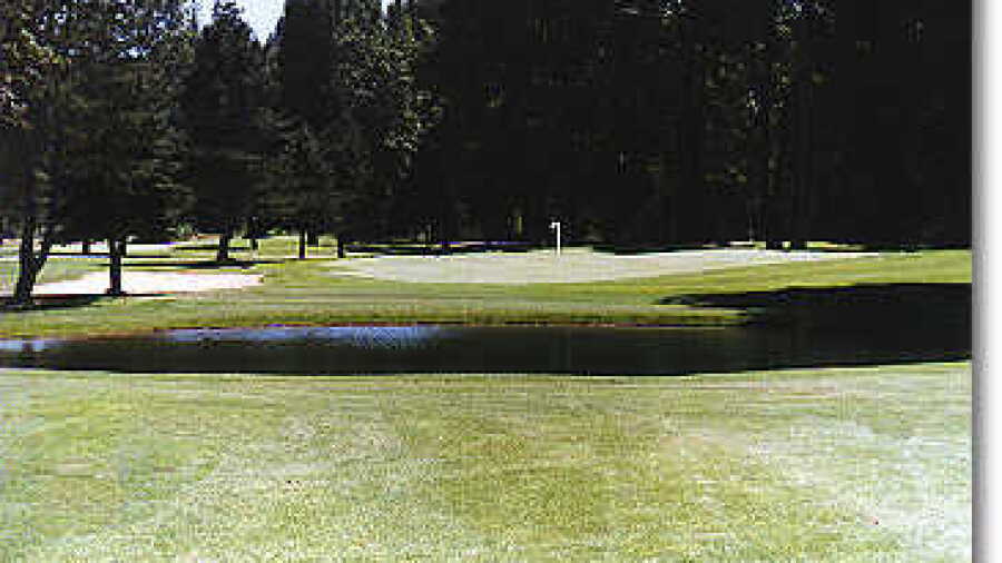 Lewis River #14