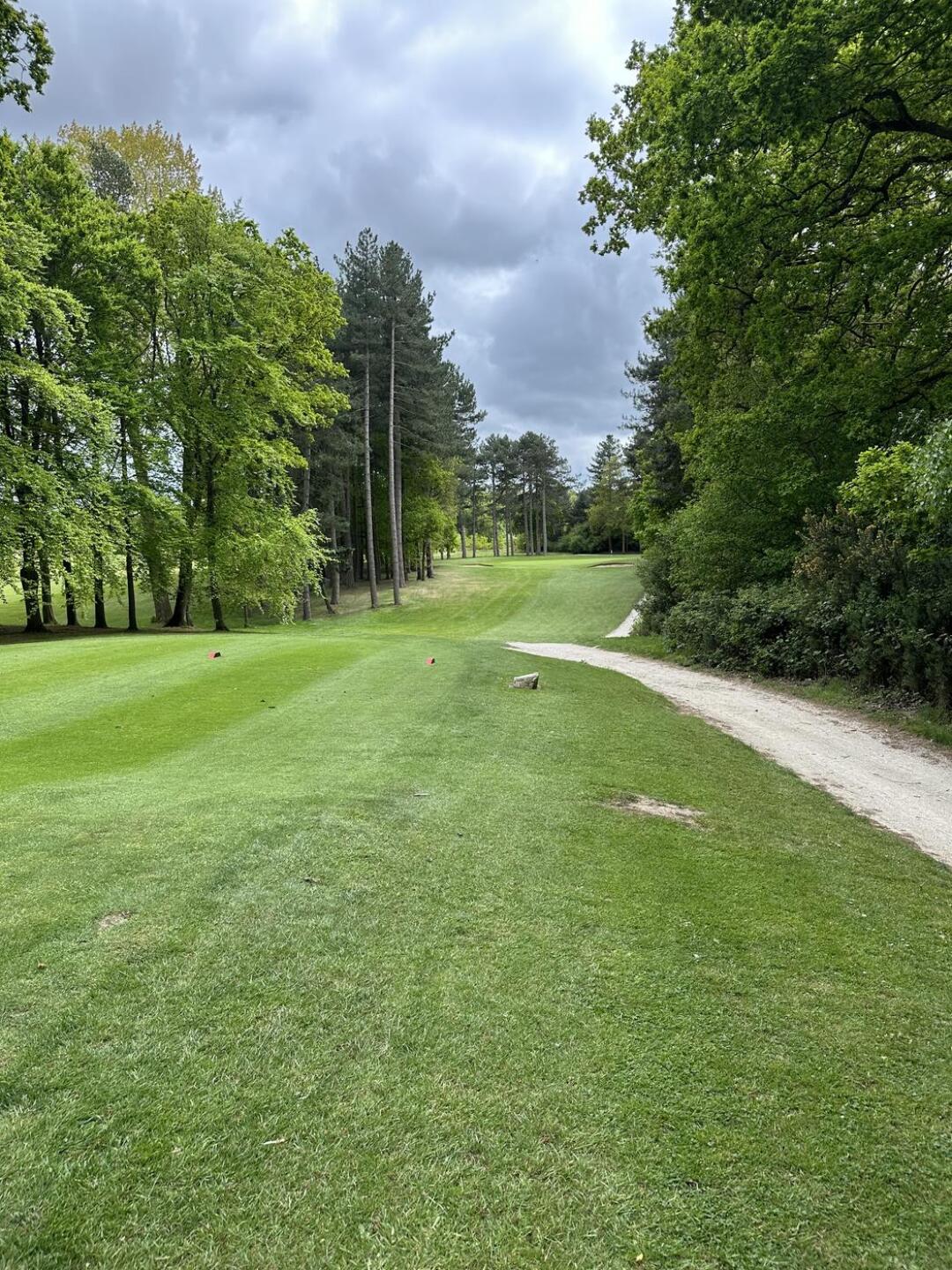 (Photo submitted by RSZHDDaWq2BVvXuXVGLi on 05/09/2025)