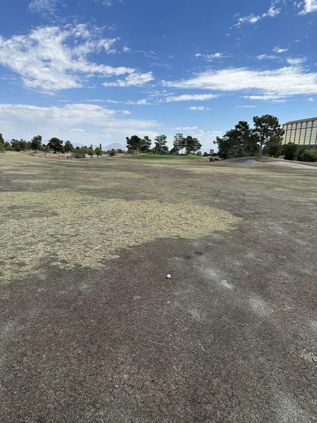 (Photo submitted by JakeNorris83 on 08/30/2024)