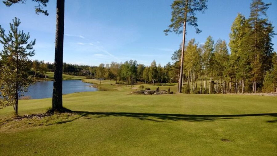 Eke Golf - Championship: #8