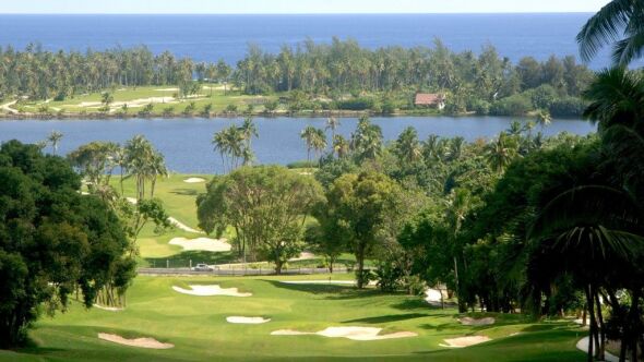 Moorea Green Pearl GC