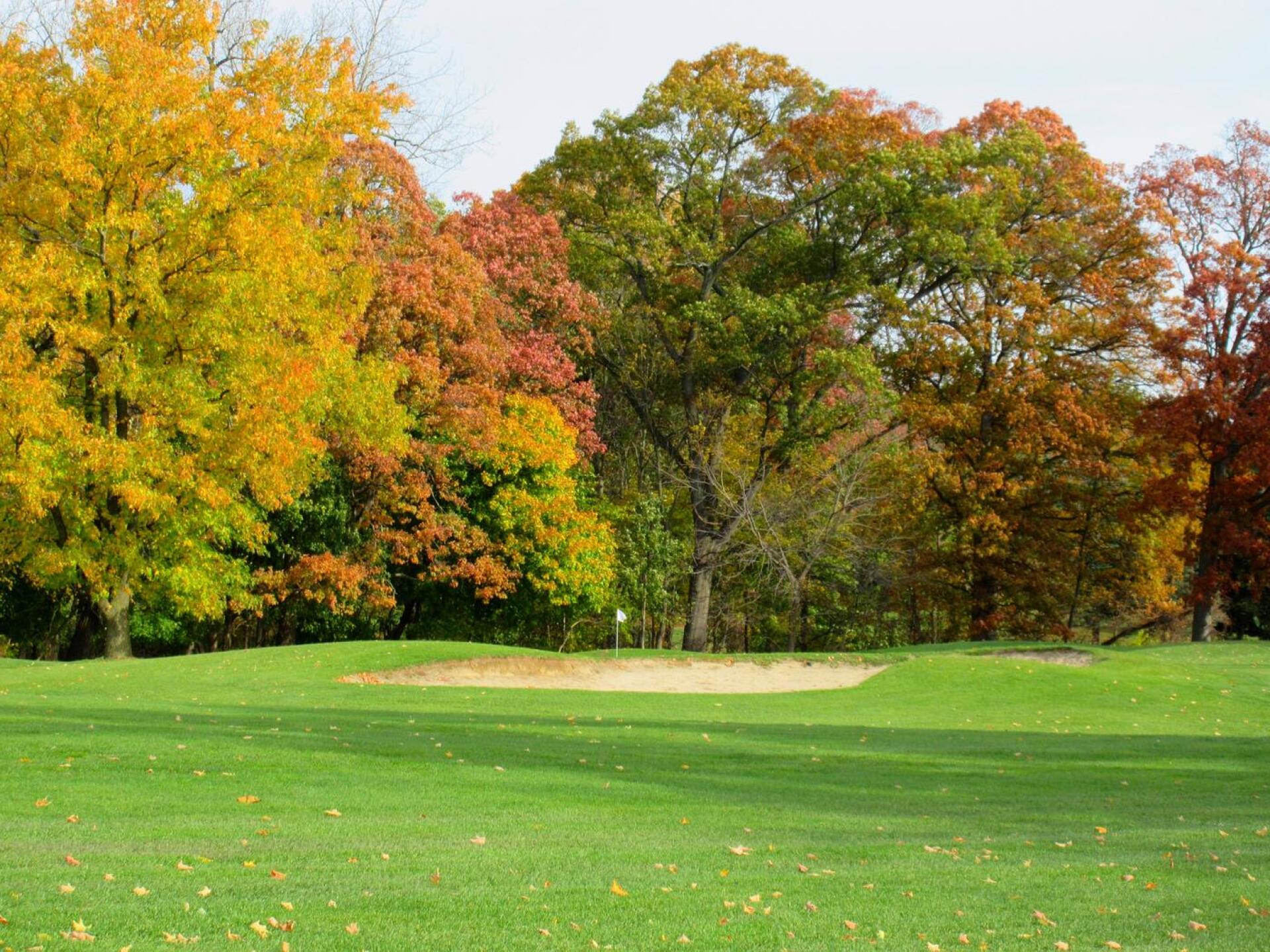 8th green viewed from 15th fairway (Photo submitted by 5PCA6tHsRgwp7MVaEPt4 on 08/26/2021)