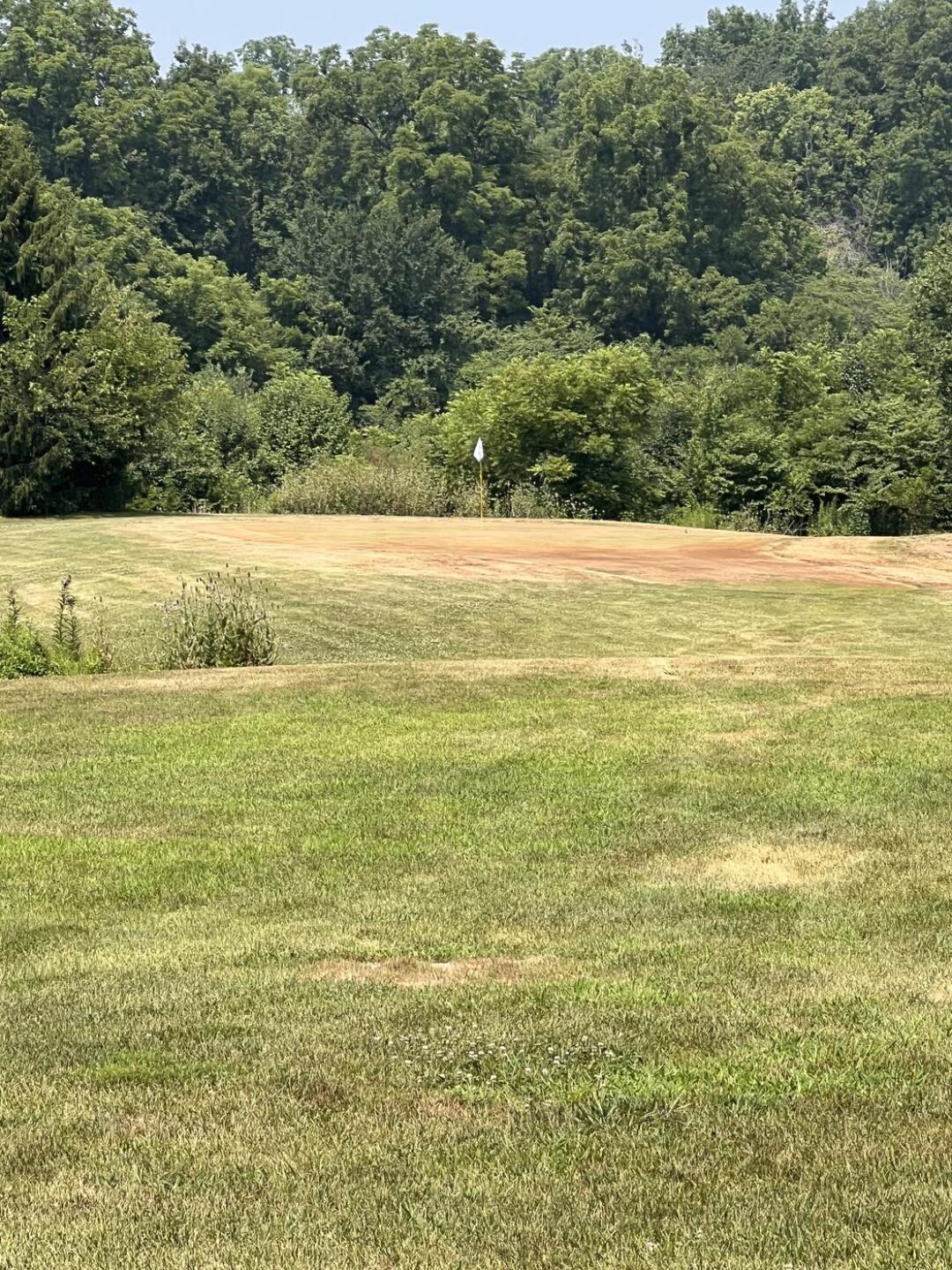 Dead green. (Photo submitted by u000002880396 on 07/19/2026)