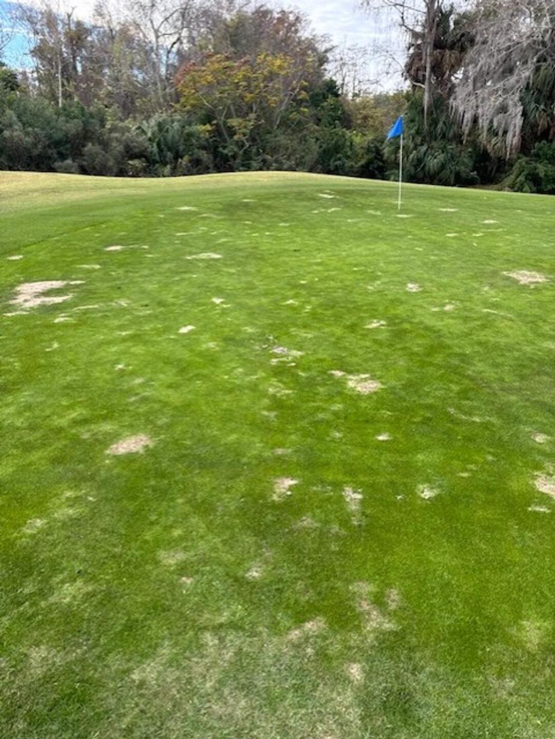 (Photo submitted by Steve2208080 on 12/30/2025)