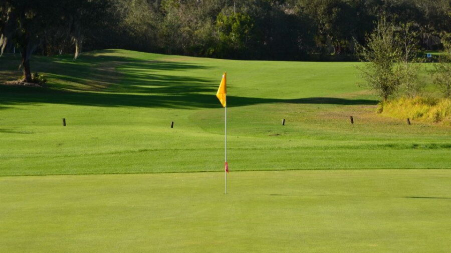 Oakwood GC: #9