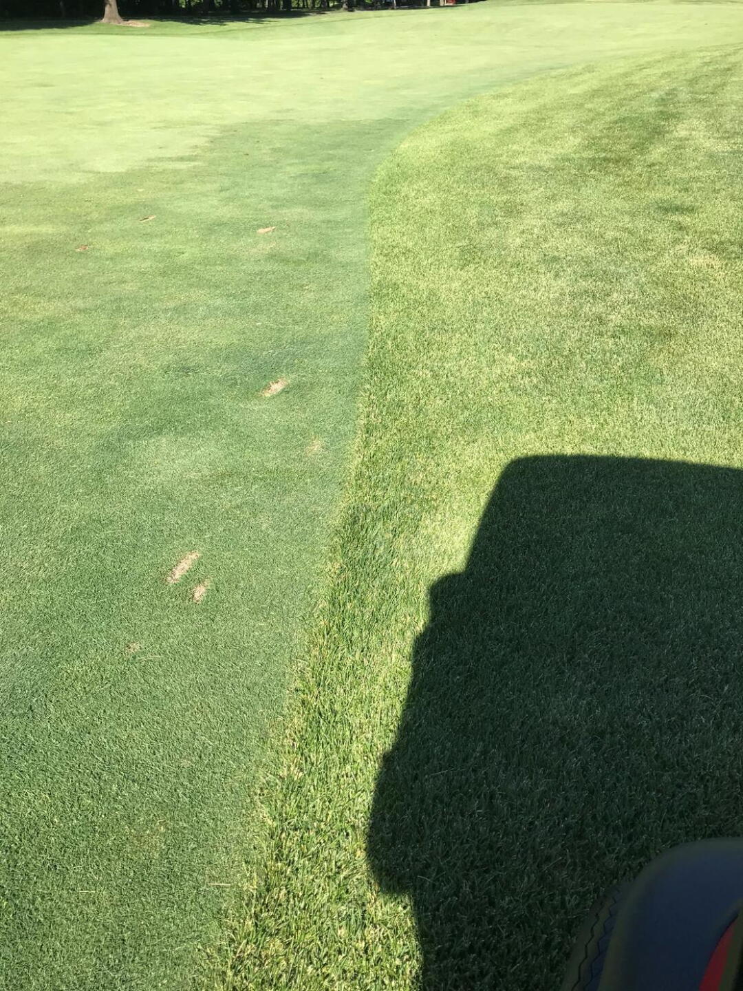 (Photo submitted by u000004329019 on 06/22/2020)
