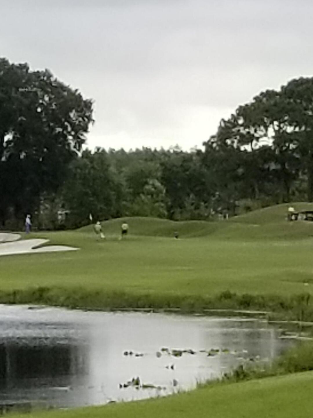 (Photo submitted by KL on 04/22/2019)