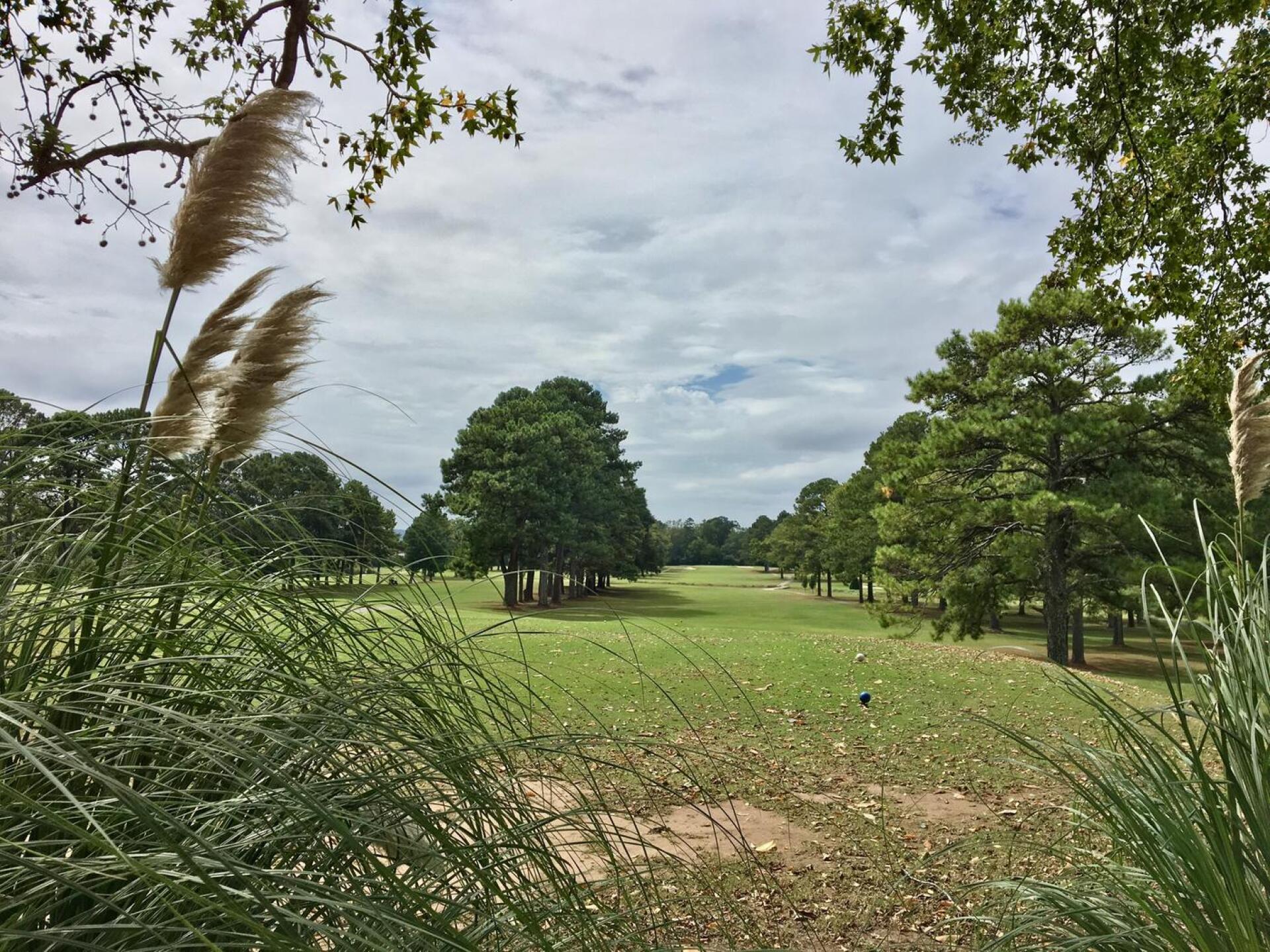 Tee box on par-5 fourth hole (Photo submitted by BrandonWebb on 10/02/2017)