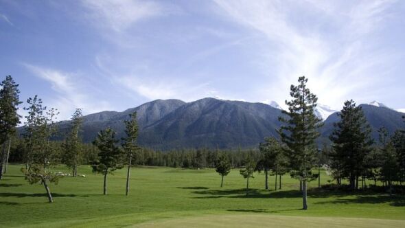 Pirin GCC - Pine