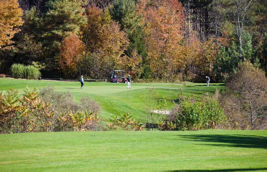 Diamond In The Ruff GC