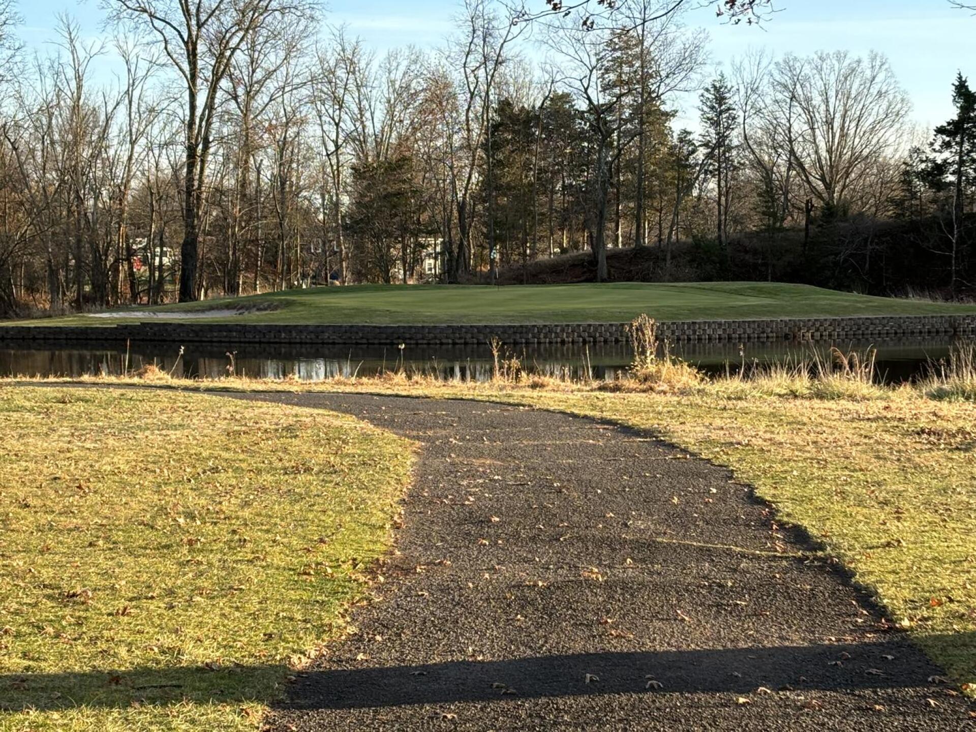 (Photo submitted by Jozpad on 11/25/2024)