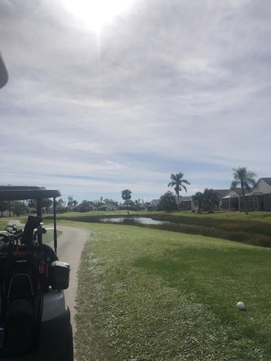 (Photo submitted by millford63 on 01/19/2025)
