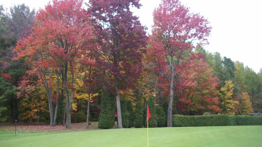 Club de Golf St-Janvier