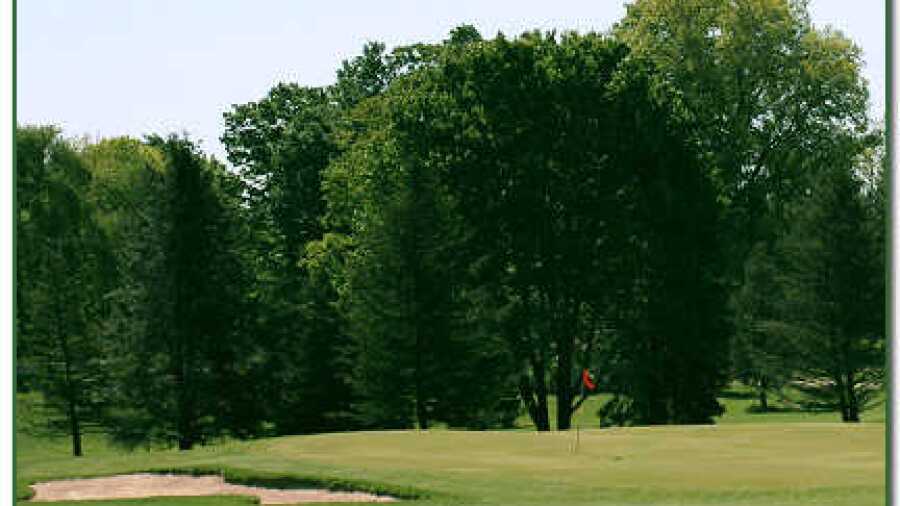 Red Fox at Cheshire Hills GC