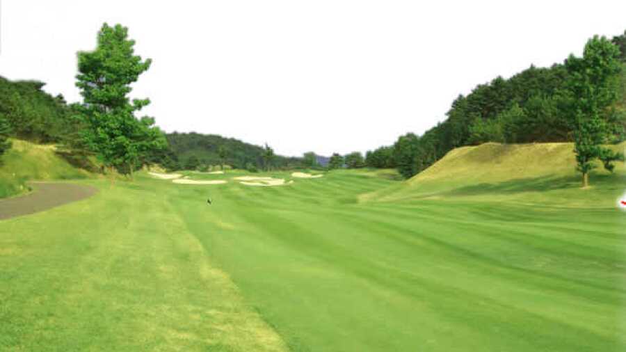 The CC: #8