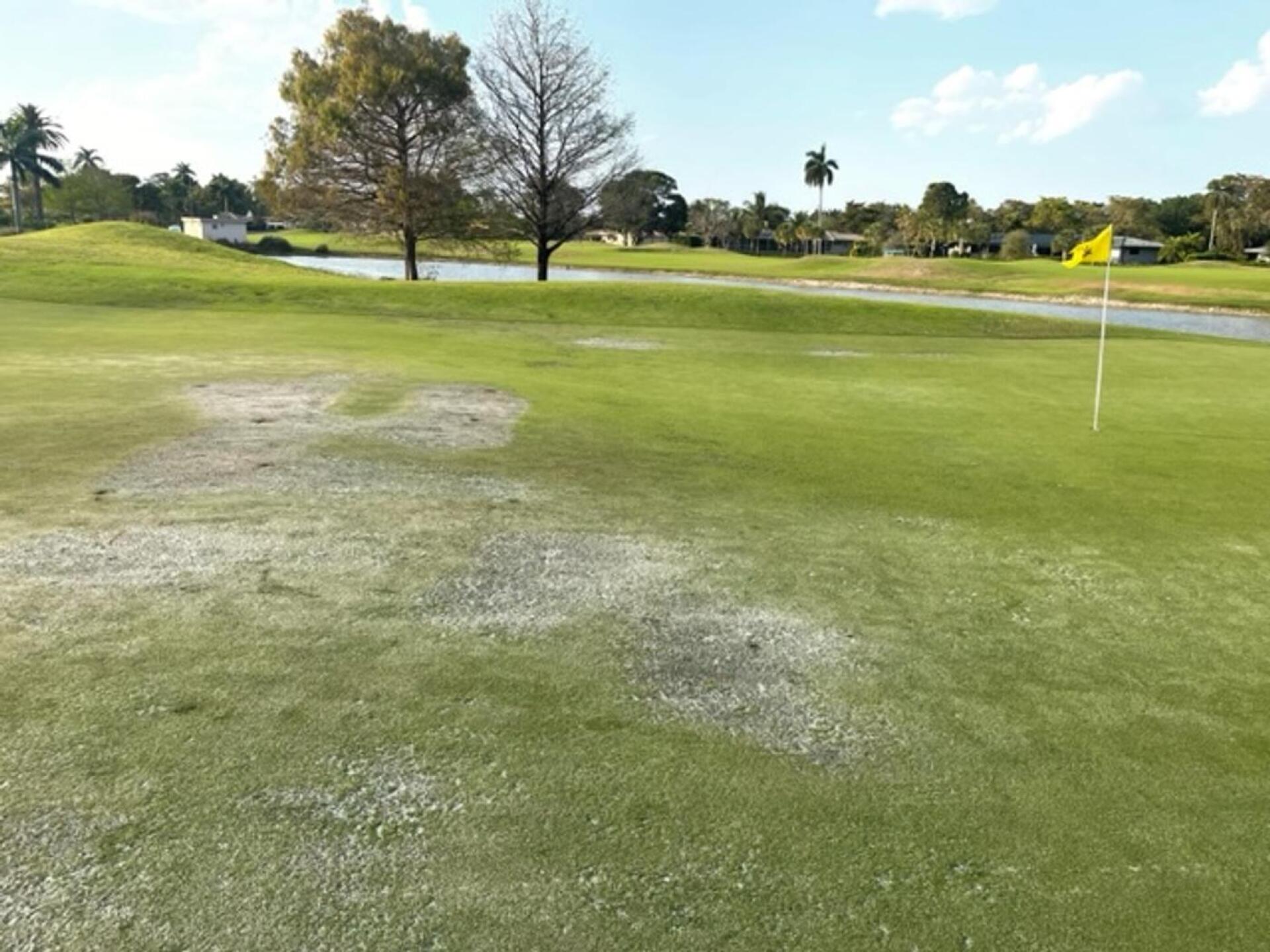 (Photo submitted by u079326129 on 03/07/2023)