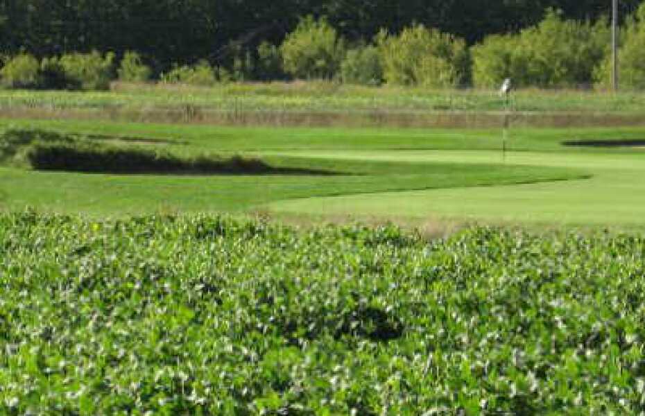 Royal St. Patrick's Golf Links in Wrightstown, Wisconsin, USA GolfPass