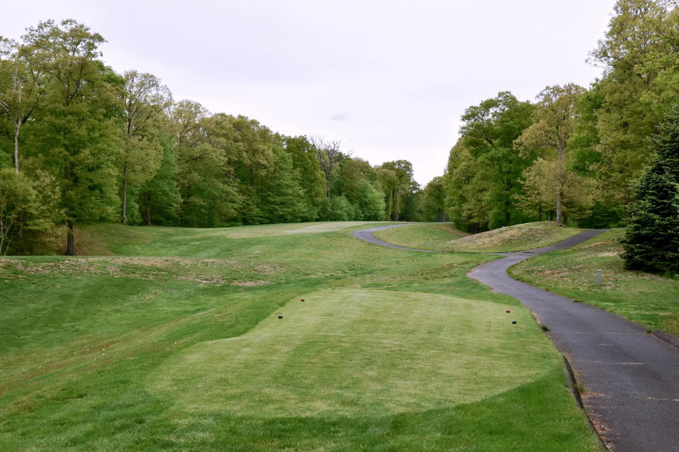 Among the sternest holes at Quarry Ridge, the narrow par-5 seventeenth will challenge you all the way to the cup. (Photo submitted by AptlyLinked on 05/14/2026)