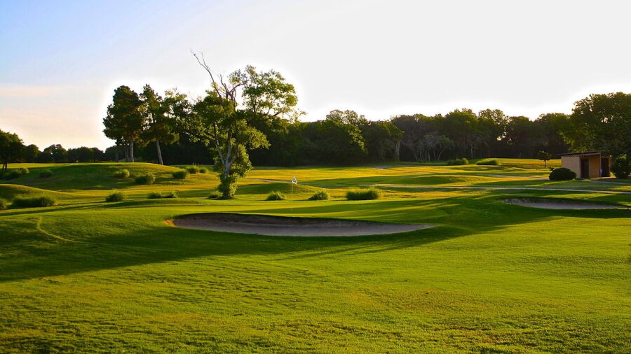 Shady Oaks GC: #11